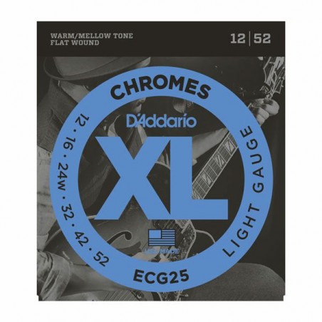 D'ADDARIO ECG25