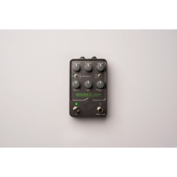 Il pedale per l'emulazione dello Space Echo più accurato che sia mai stato creato