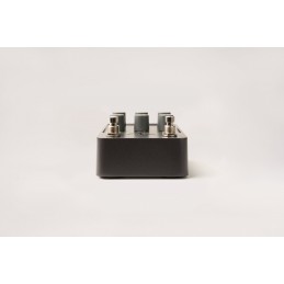 Il pedale per l'emulazione dello Space Echo più accurato che sia mai stato creato