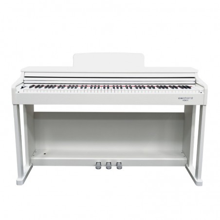 ECHORD DPX-100 DIGITAL PIANO 88 NOTE- WHITE POLISH