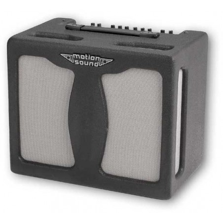 MOTION SOUND AG110H ACOUSTIC FIELD COMBO