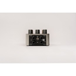 Dynamic Speaker Modeling in formato stompbox portatile