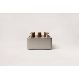 Dynamic Speaker Modeling in formato stompbox portatile