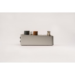 Dynamic Speaker Modeling in formato stompbox portatile