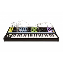 Synth Analogico 4 note parafonico Semi-Modulare con effetti 49 tasti