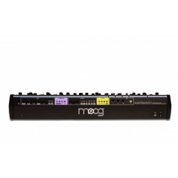 Synth Analogico 4 note parafonico Semi-Modulare con effetti 49 tasti