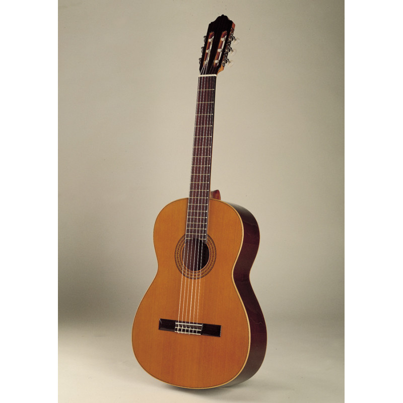 Mod.3 Chitarra Classica