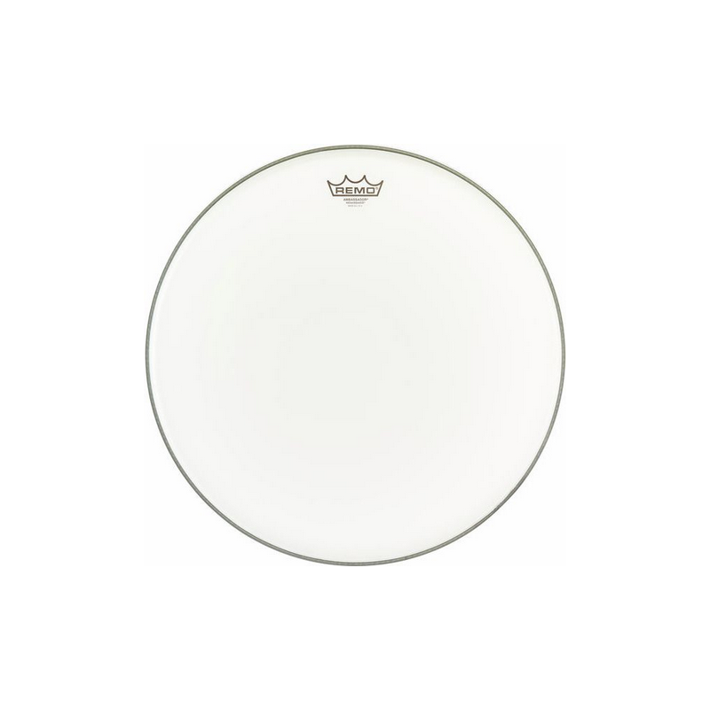 REMO RA-0018-SS RENAISSANCE AMBASSADOR 18"