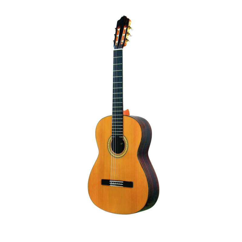 6PS Chitarra Classica