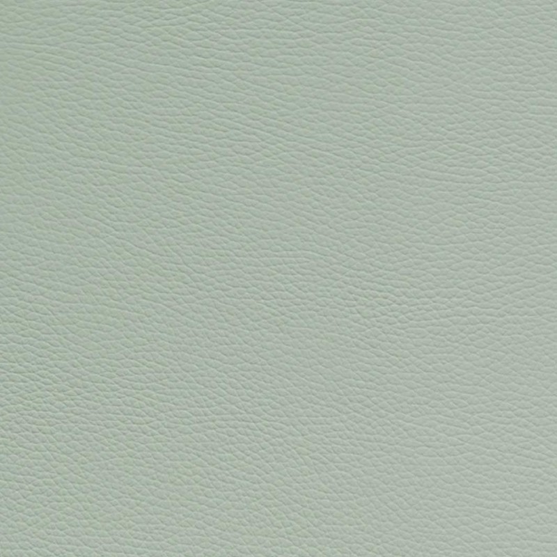 ET2001XLP L'ETOILE HIGHTECH OBLONG VIOLIN CASE