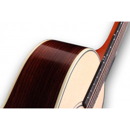 VINTAGE 1 DC-SR CUTAWAY