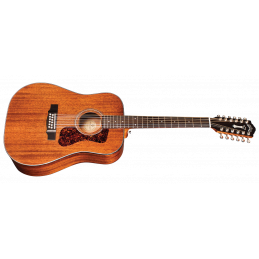 D-1212 12-STRING NAT