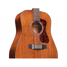 D-1212 12-STRING NAT