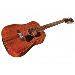 D-1212 12-STRING NAT