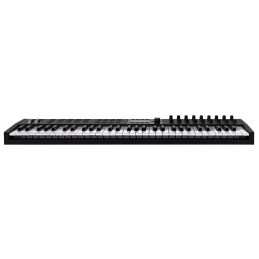 Controller USB 61 tasti full size