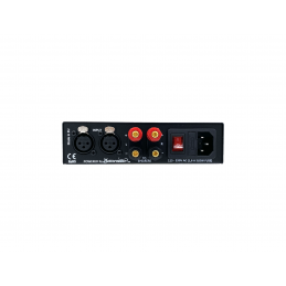 Amplificatore per coppia 5C passive