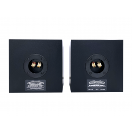 Coppia Monitor passivi colore Nero