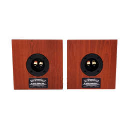 Coppia Monitor passivi colore Woodgrain