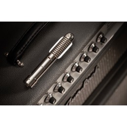 Microfono a nastro per strumenti Fen-tone con preamplificatore in linea selezionabile.  Ispirato a un classico microfono a nastr