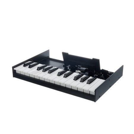 ROLAND K25m - Boutique Limited Edition-USATO