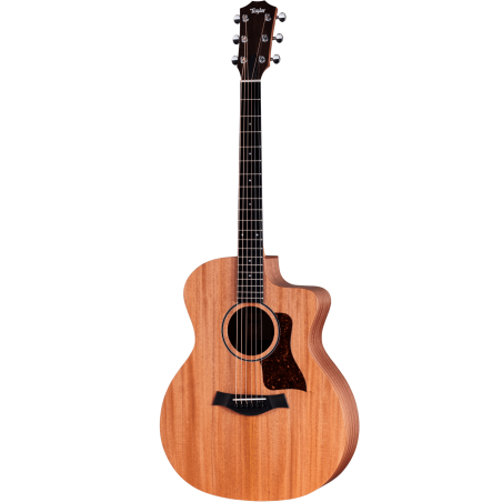 TAYLOR 24ce GRAND AUDITORIUM - NATURAL