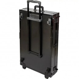 WALKASSE CASE PER DDJ FLX10-REV5/XDJ RX3/XZ