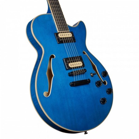 D'ANGELICO PREMIER SS Fabrizio Sotti Signature