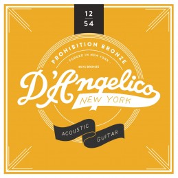 D'ANGELICO ACOUSTIC 12'S