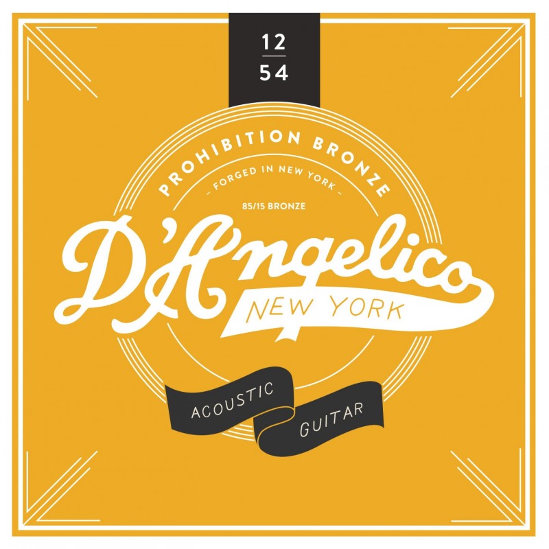 D'ANGELICO ACOUSTIC 12'S