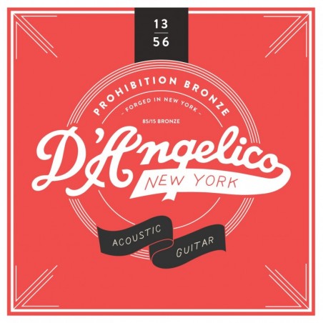 D'ANGELICO ACOUSTIC 13'S