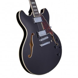 D'ANGELICO PREMIER DC Black Flake