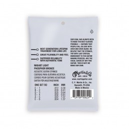 Martin & Co. MA540T Authentic Lifespan 2.0 Light Phosphor Bronze 12-54