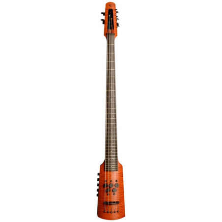 CR Omni Bass 5 Fretted Amber Stain