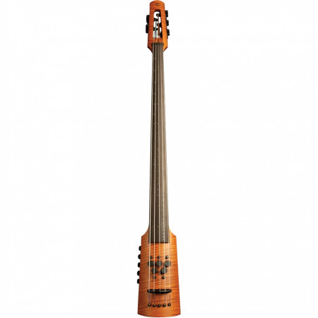 CR5 Omni Bass 5 Fretless Amber Stain
