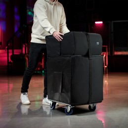 LD SYSTEMS LD Systems DAVE 15 G4X BAG SET