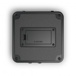 Palmer POCKET AMP BASS