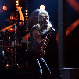 LD SYSTEMS LD Systems MAUI® 44 G2 W