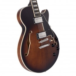 D'ANGELICO PREMIER SS BROWN BURST
