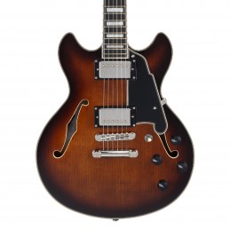 D'ANGELICO PREMIER MINI DC BROWN BURST