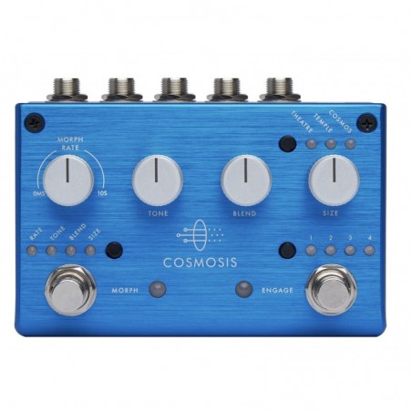 PIGTRONIX COSMOSIS