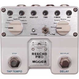 MOOER REECHO PRO DIGITAL DELAY