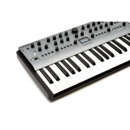 MODAL ELECTRONICS CARBON8 (37 KEYS)