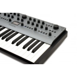 MODAL ELECTRONICS CARBON8 (37 KEYS)