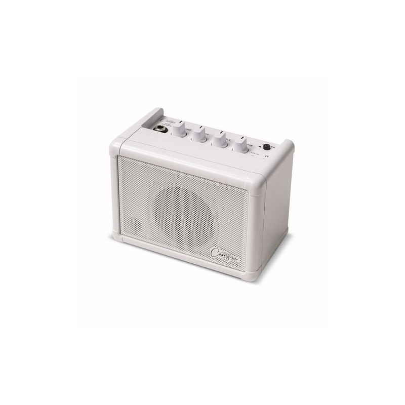 CARRY ON CO-SPEAKER - MINI SPEAKER