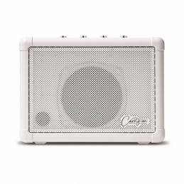 CARRY ON CO-SPEAKER - MINI SPEAKER