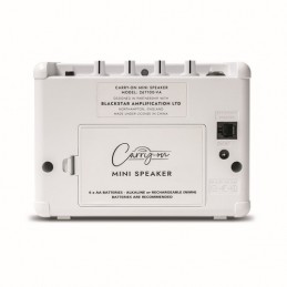 CARRY ON CO-SPEAKER - MINI SPEAKER