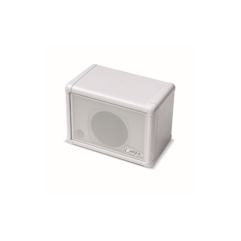 CARRY ON CO-SPEAKER-EXT - MINI EXTENSION SPEAKER