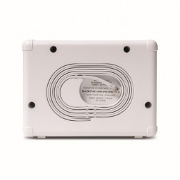 CARRY ON CO-SPEAKER-EXT - MINI EXTENSION SPEAKER