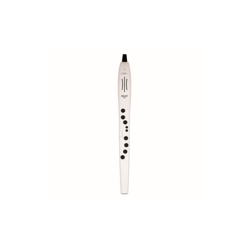 CARRY ON CO-DWI2PRO-WT - DIGITAL WIND INSTRUMENT PRO - BIANCO