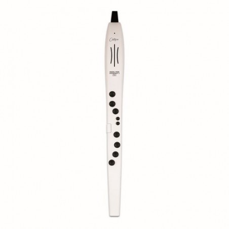 CARRY ON CO-DWI2PRO-WT - DIGITAL WIND INSTRUMENT PRO - BIANCO